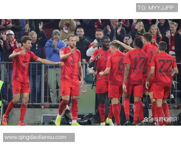 新西兰现役足球明星聚焦：展现绿茵场上激情与荣耀的顶尖球员