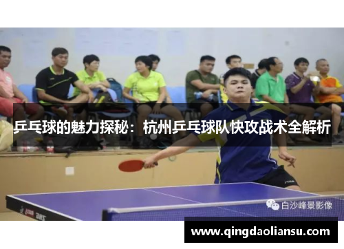 乒乓球的魅力探秘：杭州乒乓球队快攻战术全解析