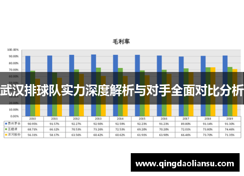 武汉排球队实力深度解析与对手全面对比分析