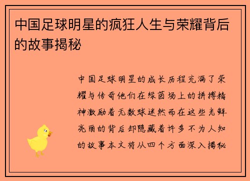 中国足球明星的疯狂人生与荣耀背后的故事揭秘