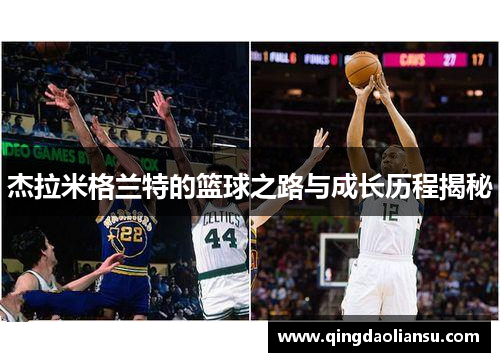 杰拉米格兰特的篮球之路与成长历程揭秘