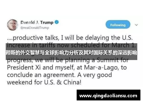 赖斯的外交智慧与全球影响力分析及其对国际关系的深远影响